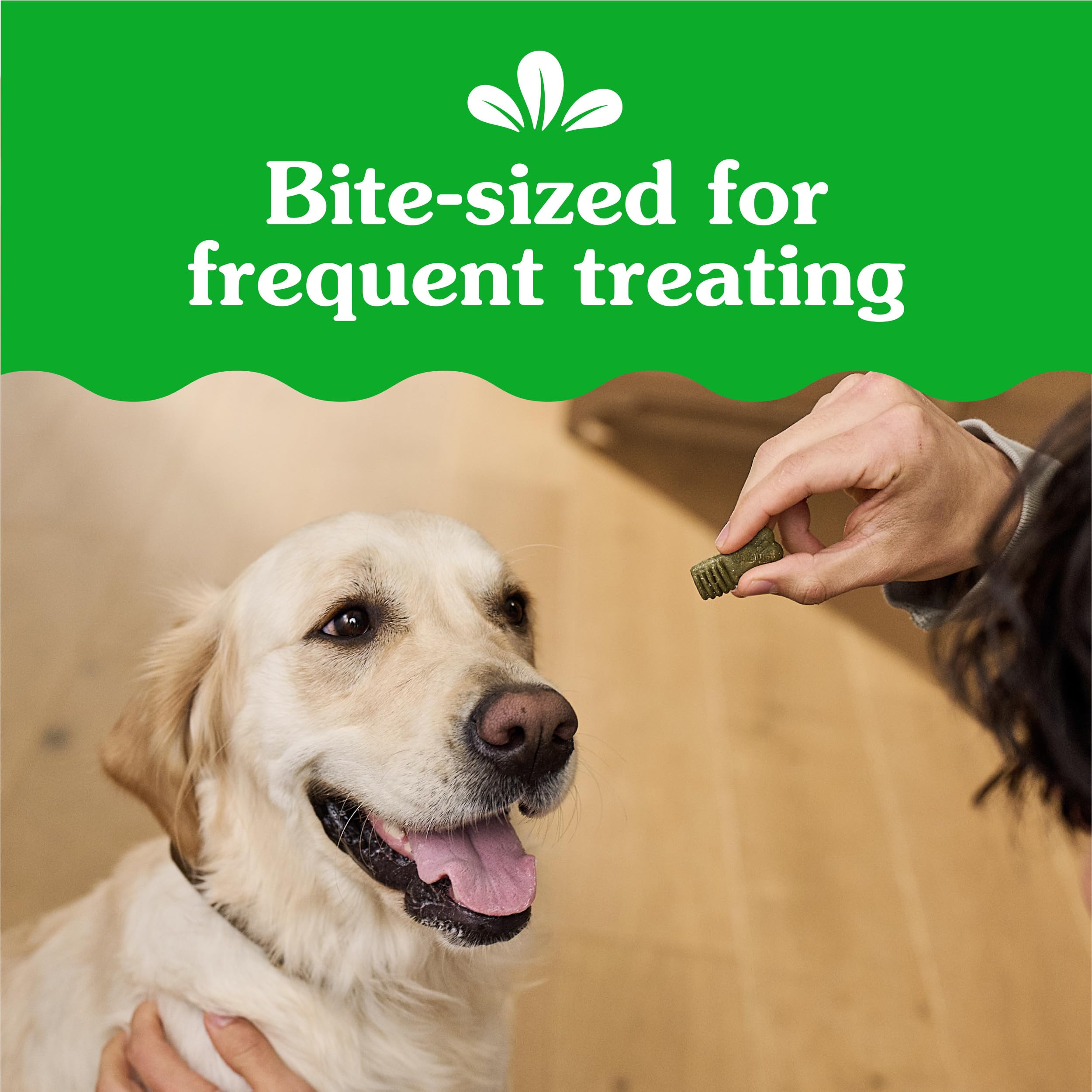 Greenies Anytime Bites Dog Treats, Original Flavor, Dog Training Treats, 10.3 oz. Bag - Image 4