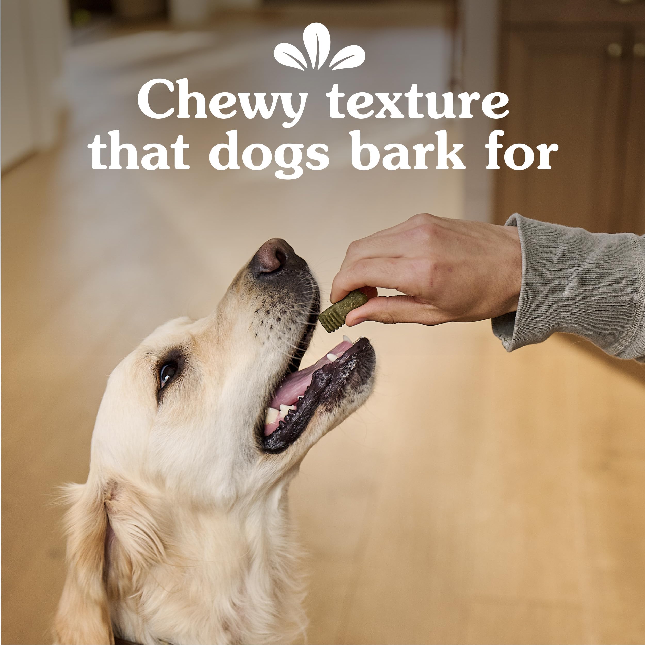 Greenies Anytime Bites Dog Treats, Original Flavor, Dog Training Treats, 10.3 oz. Bag - Image 6