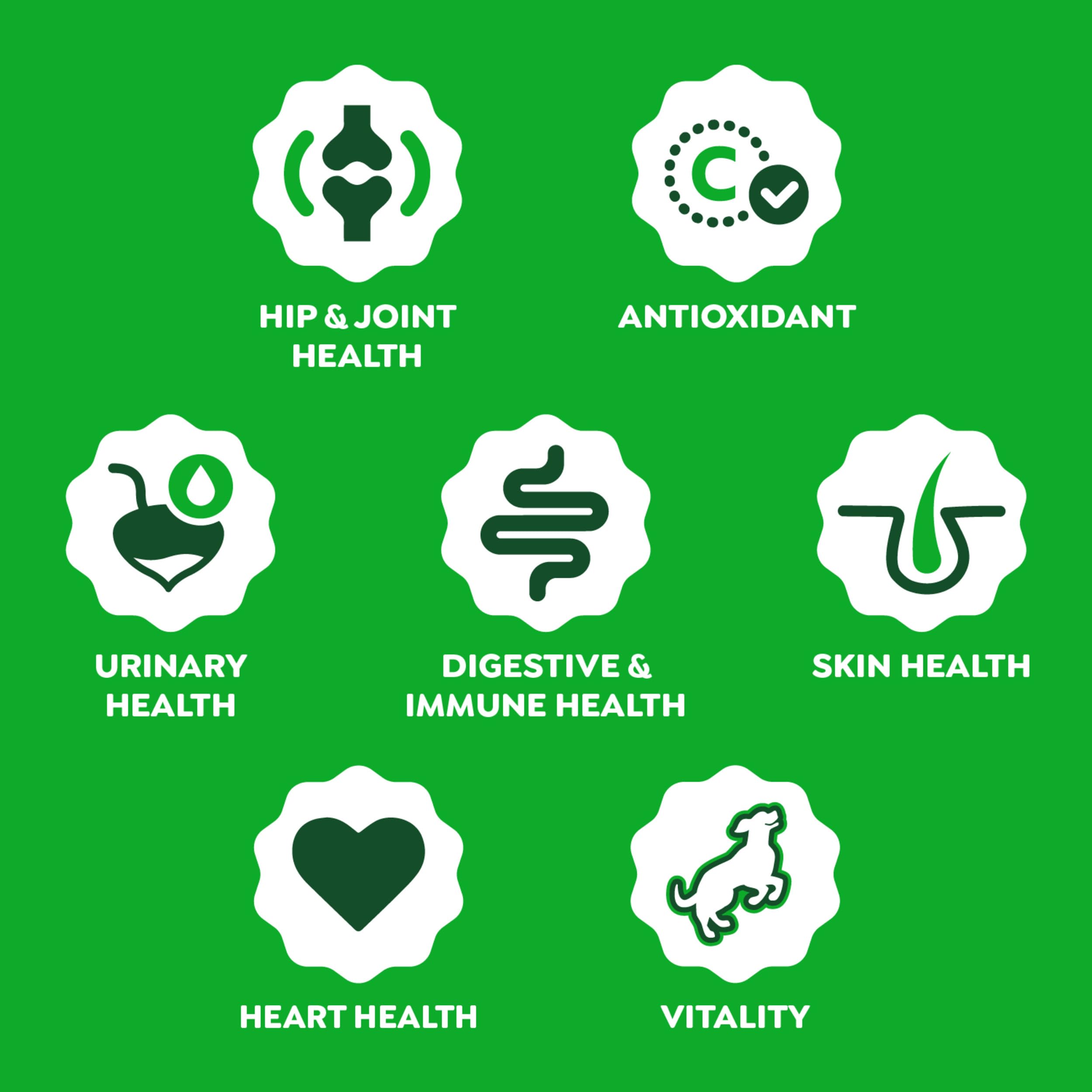 Greenies Dog Supplements 8-in-1 Multi-Benefit Dog Vitamins and Supplements Chicken Flavor, 15.5 oz. Container, 80 Count - Image 4