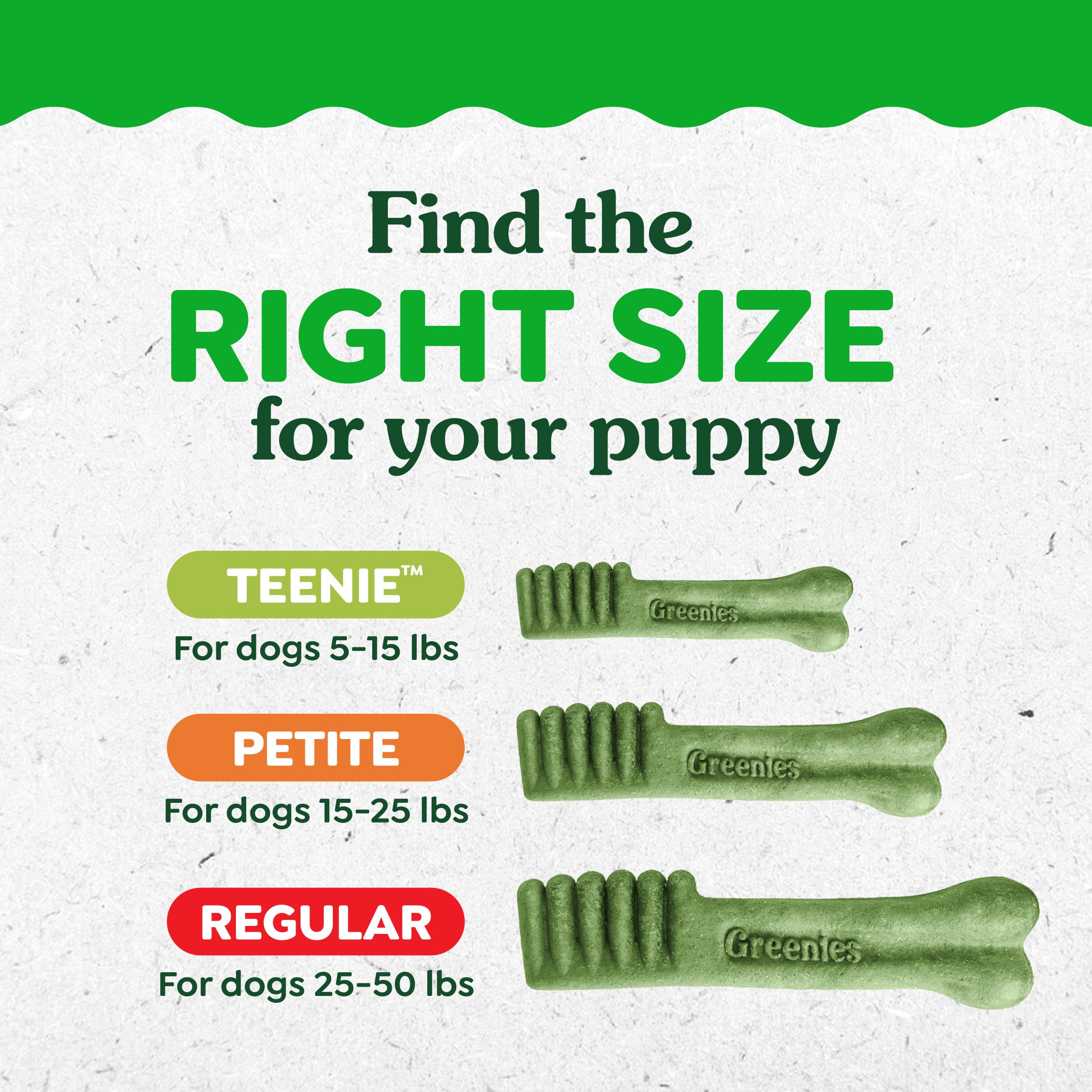 Greenies Dental Treats for Dogs, Veterinarian-Recommended Natural Puppy Treats Regular Size, 6 oz. Pack, 12 Count - Image 12