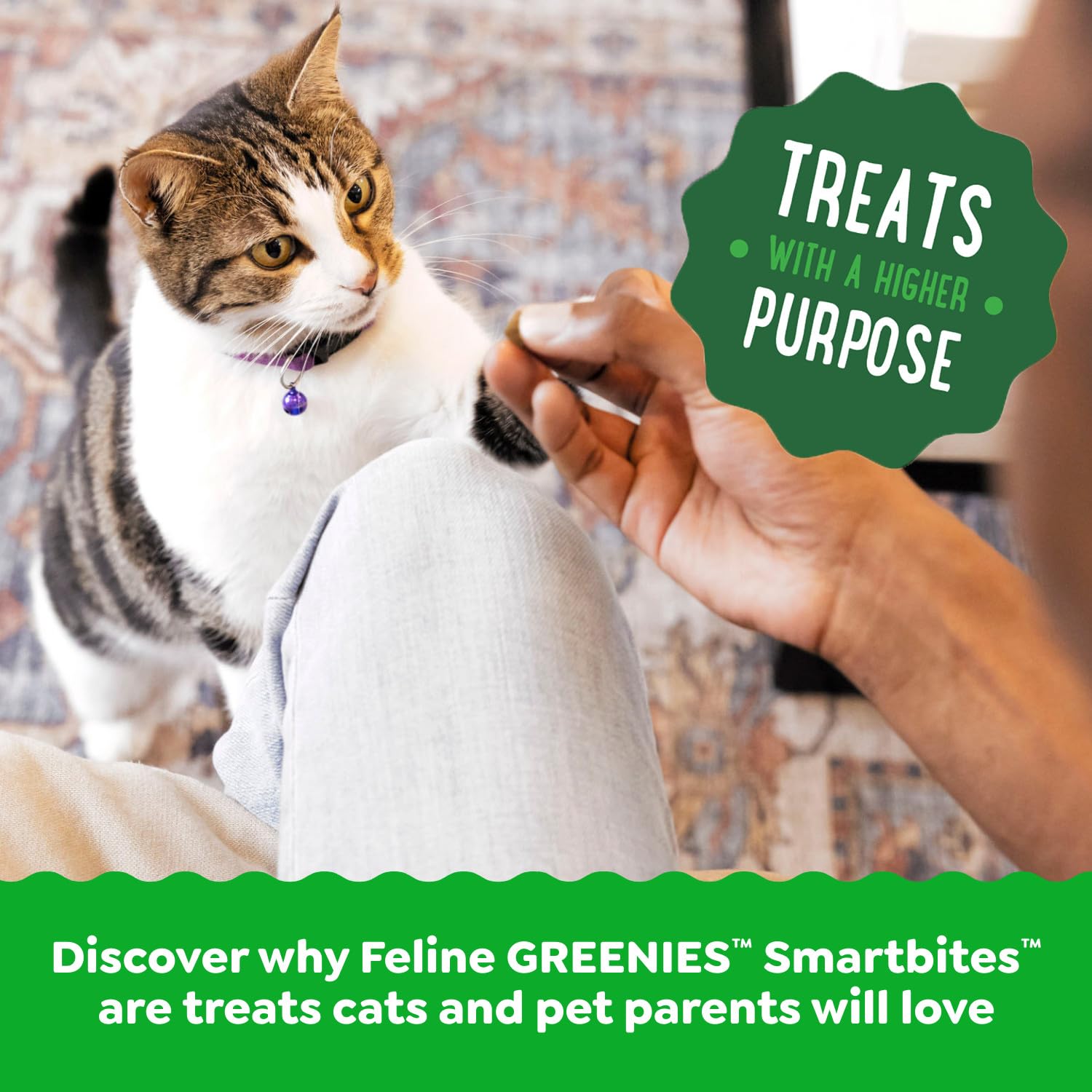 Greenies Feline Smartbites, Cat Treats Healthy Recipe, Indoor Cat Treats, Chicken Flavor, 2.1 oz. Pack - Image 6