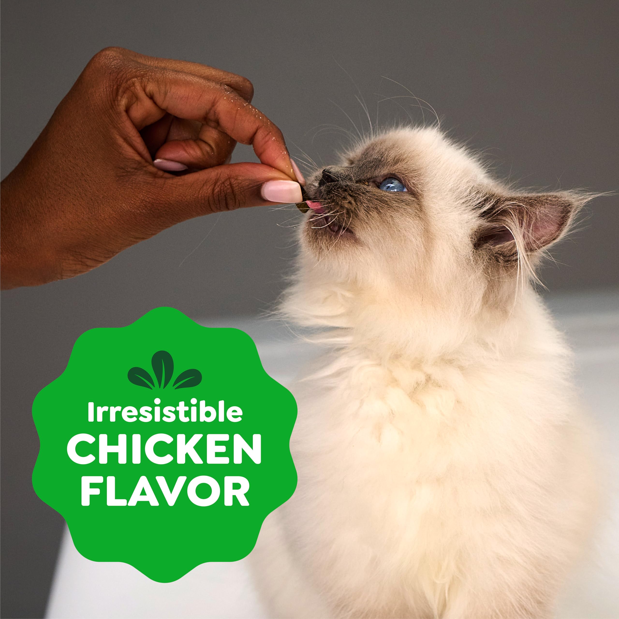 Greenies Feline Smartbites Kitten Treats, Chicken Flavor, 2.1 oz. Pouch - Image 7