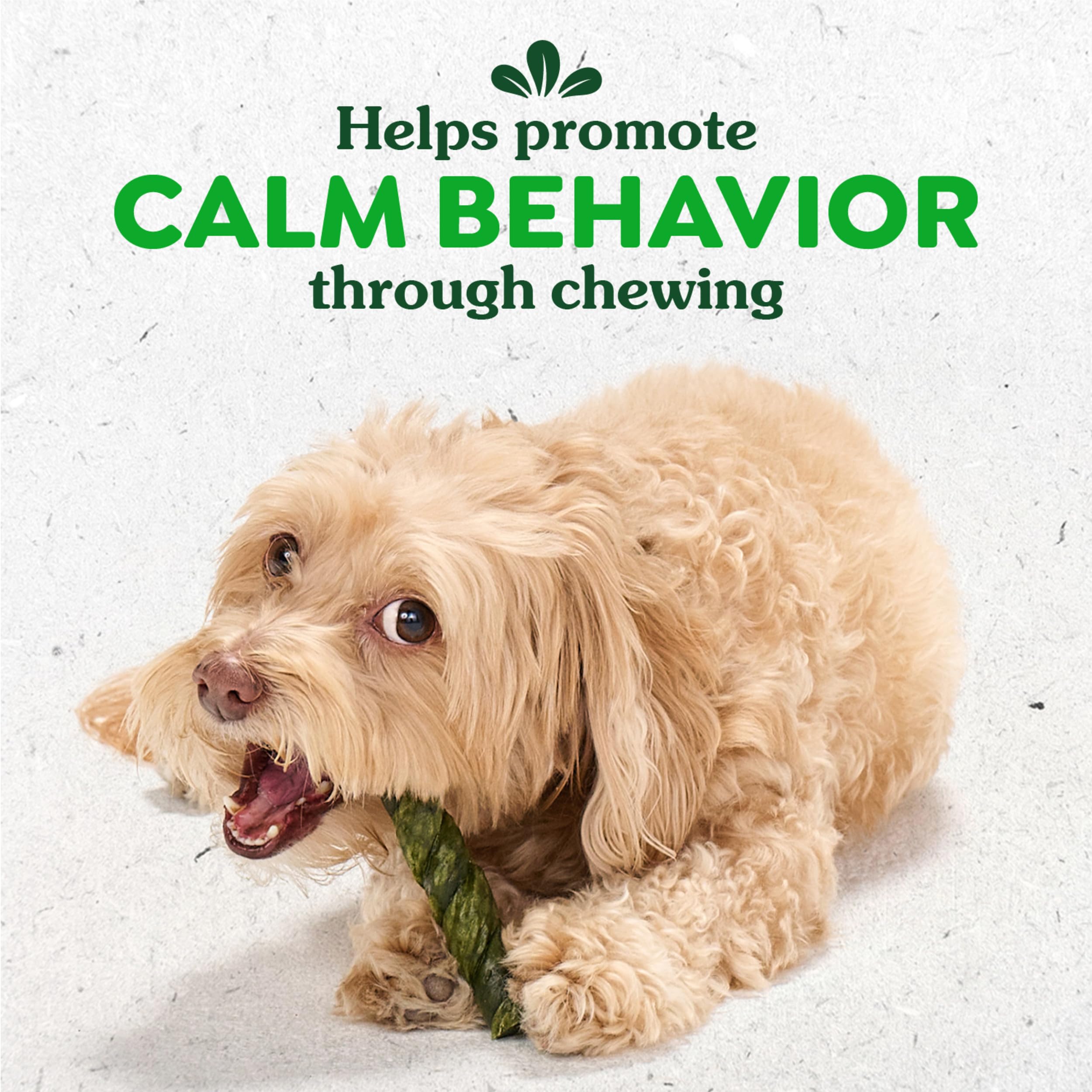 Greenies Occupy Twists Natural Dog Treats Large Breed Size Dog Chews Long Lasting Chicken Flavor, 8.55 oz. Pack, 4 Count - Image 3