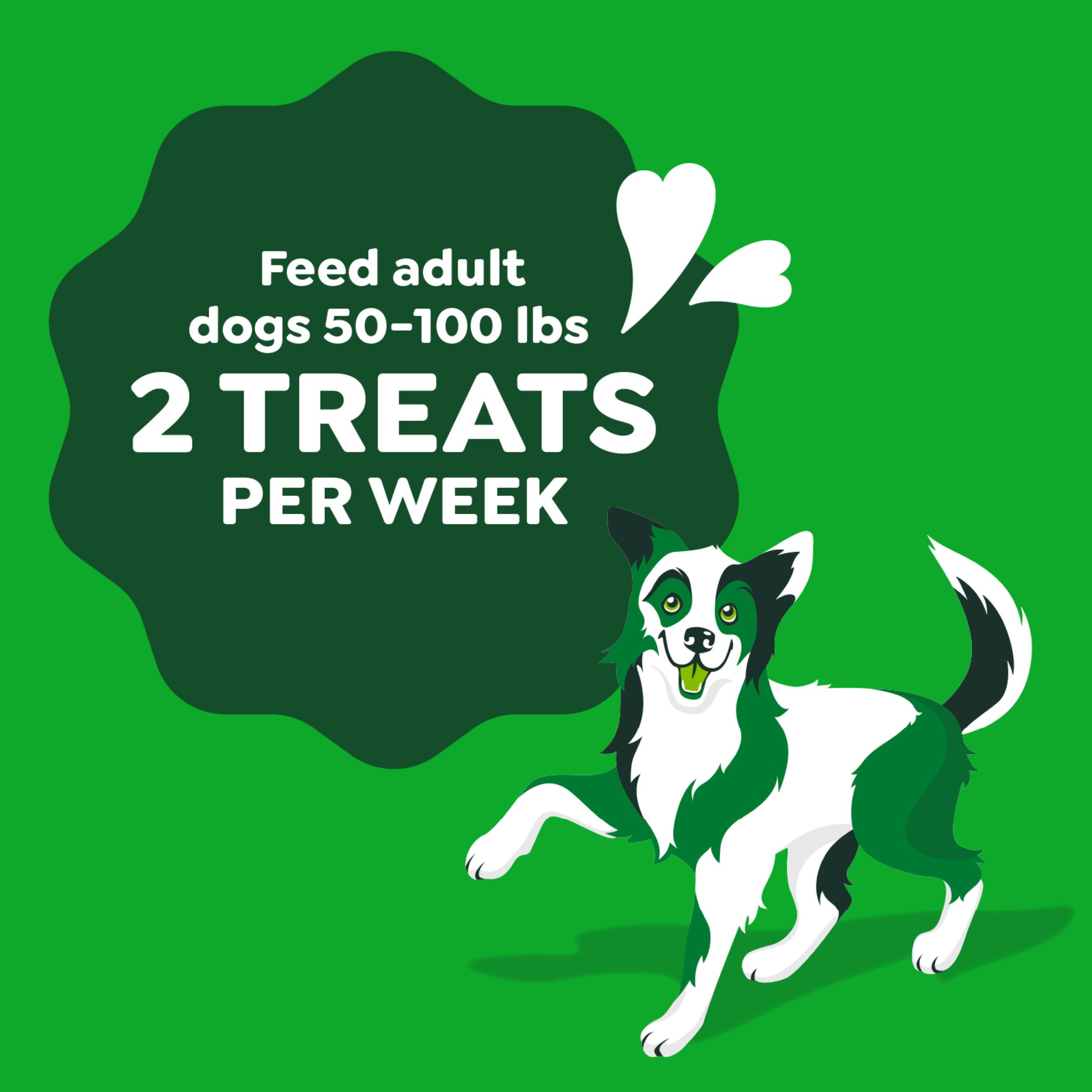 Greenies Occupy Twists Natural Dog Treats Large Breed Size Dog Chews Long Lasting Chicken Flavor, 8.55 oz. Pack, 4 Count - Image 9