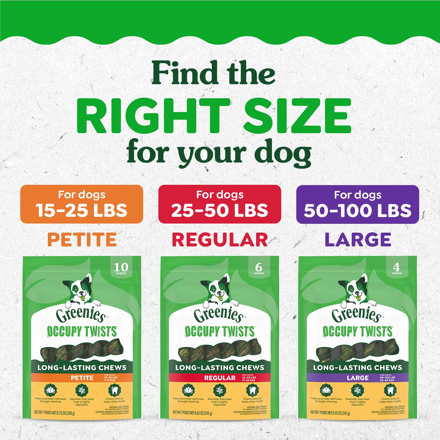 Greenies Occupy Twists Natural Dog Treats Petite Size Dog Chews Long Lasting Chicken Flavor, 8.75 oz. Pack, 10 Count - Image 9