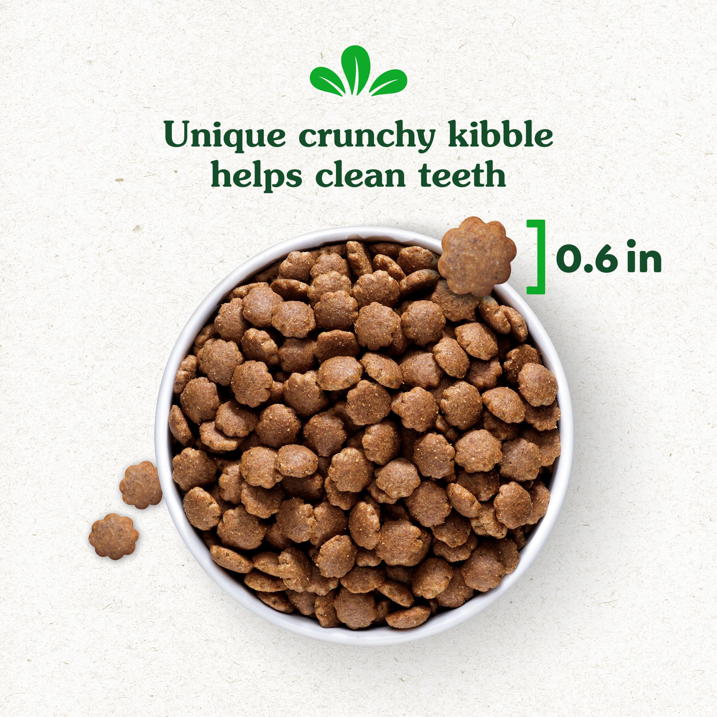 Greenies Smart Essentials Adult High Protein Dry Dog Food Real Chicken & Rice Recipe, 30 lb. Bag - Image 12