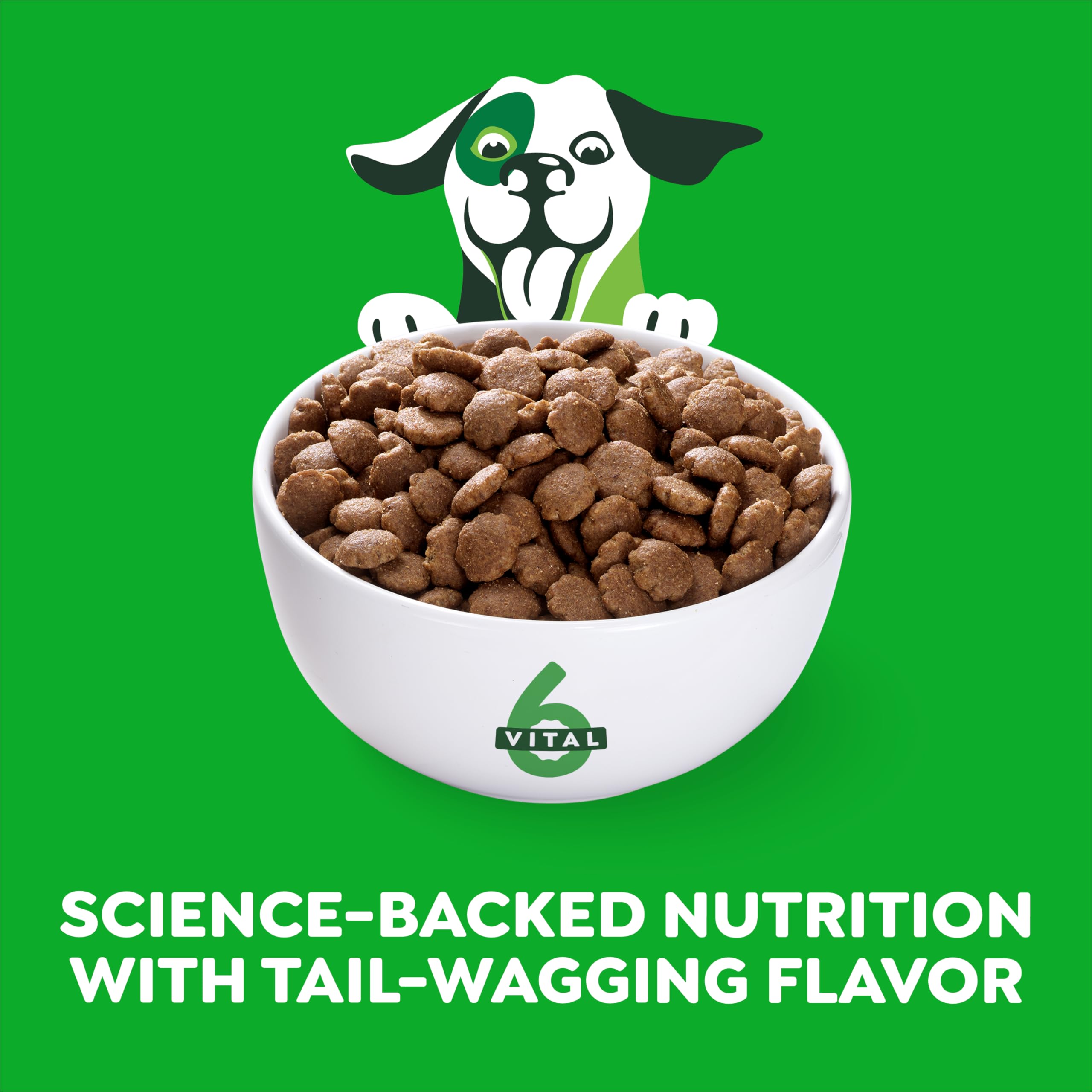 Greenies Smart Essentials Adult High Protein Dry Dog Food Real Chicken & Rice Recipe, 30 lb. Bag - Image 3