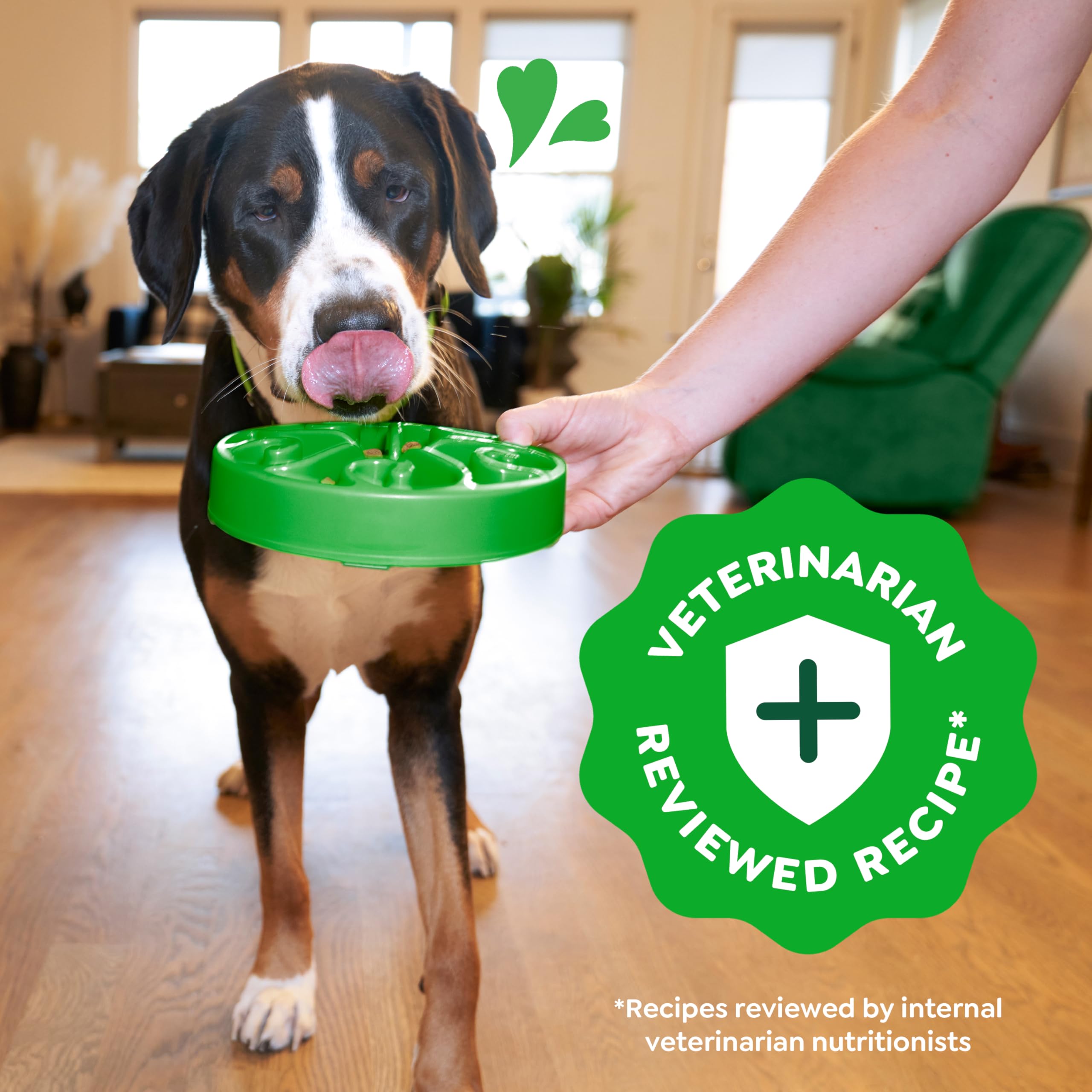 Greenies Smart Essentials Large Breed Adult High Protein Dry Dog Food Real Chicken & Rice Recipe, 15 lb. Bag - Image 11