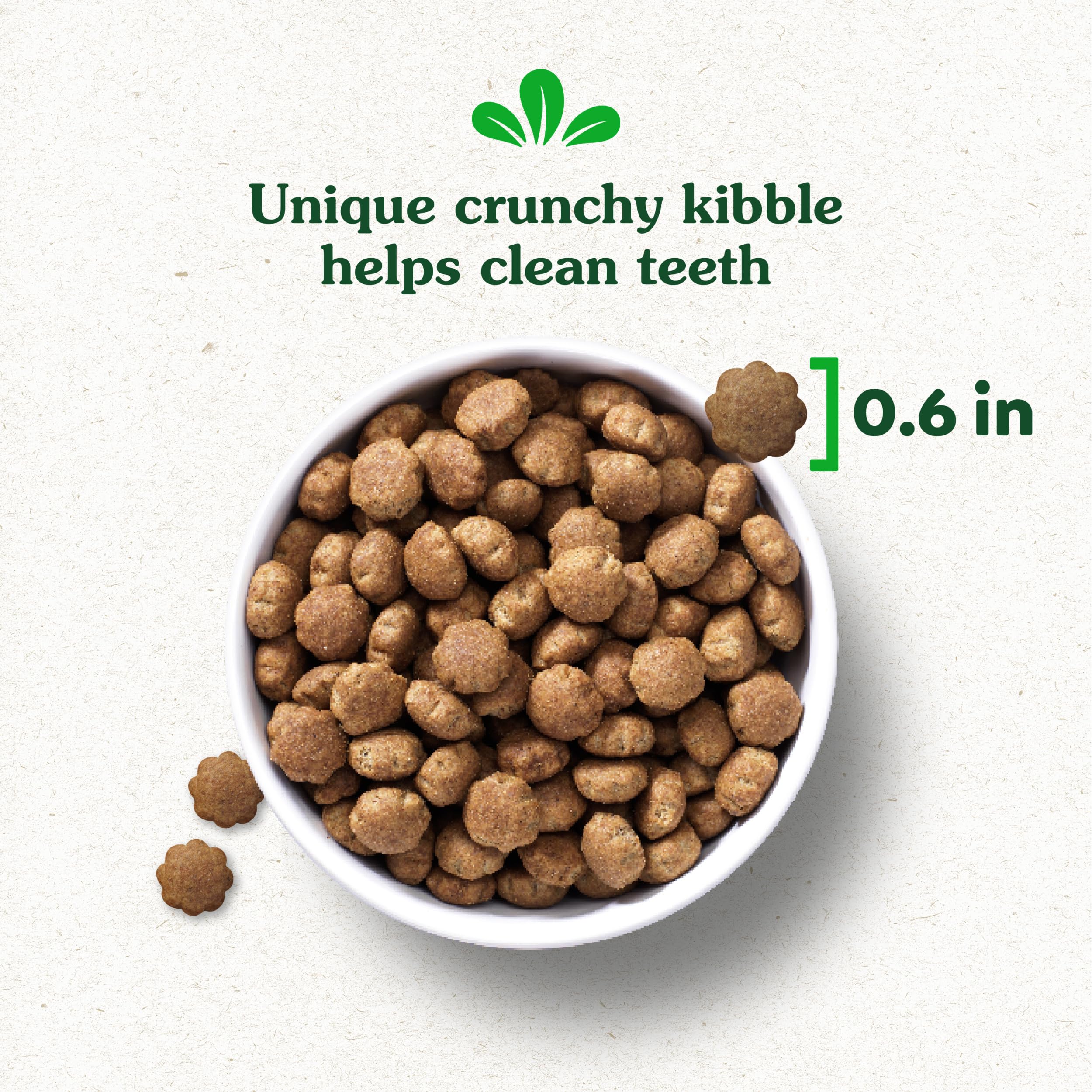 Greenies Smart Essentials Large Breed Adult High Protein Dry Dog Food Real Chicken & Rice Recipe, 15 lb. Bag - Image 12