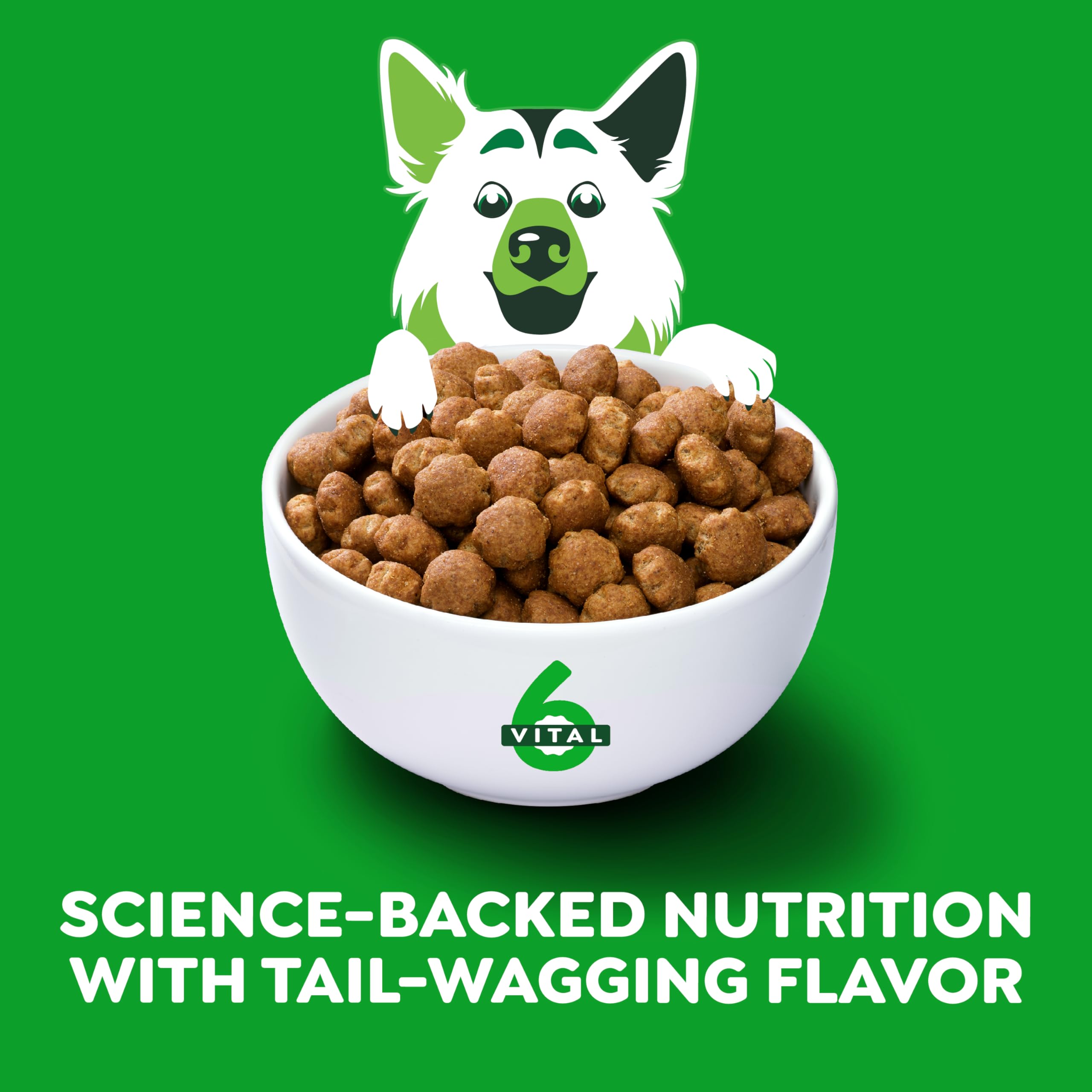 Greenies Smart Essentials Large Breed Adult High Protein Dry Dog Food Real Chicken & Rice Recipe, 15 lb. Bag - Image 3