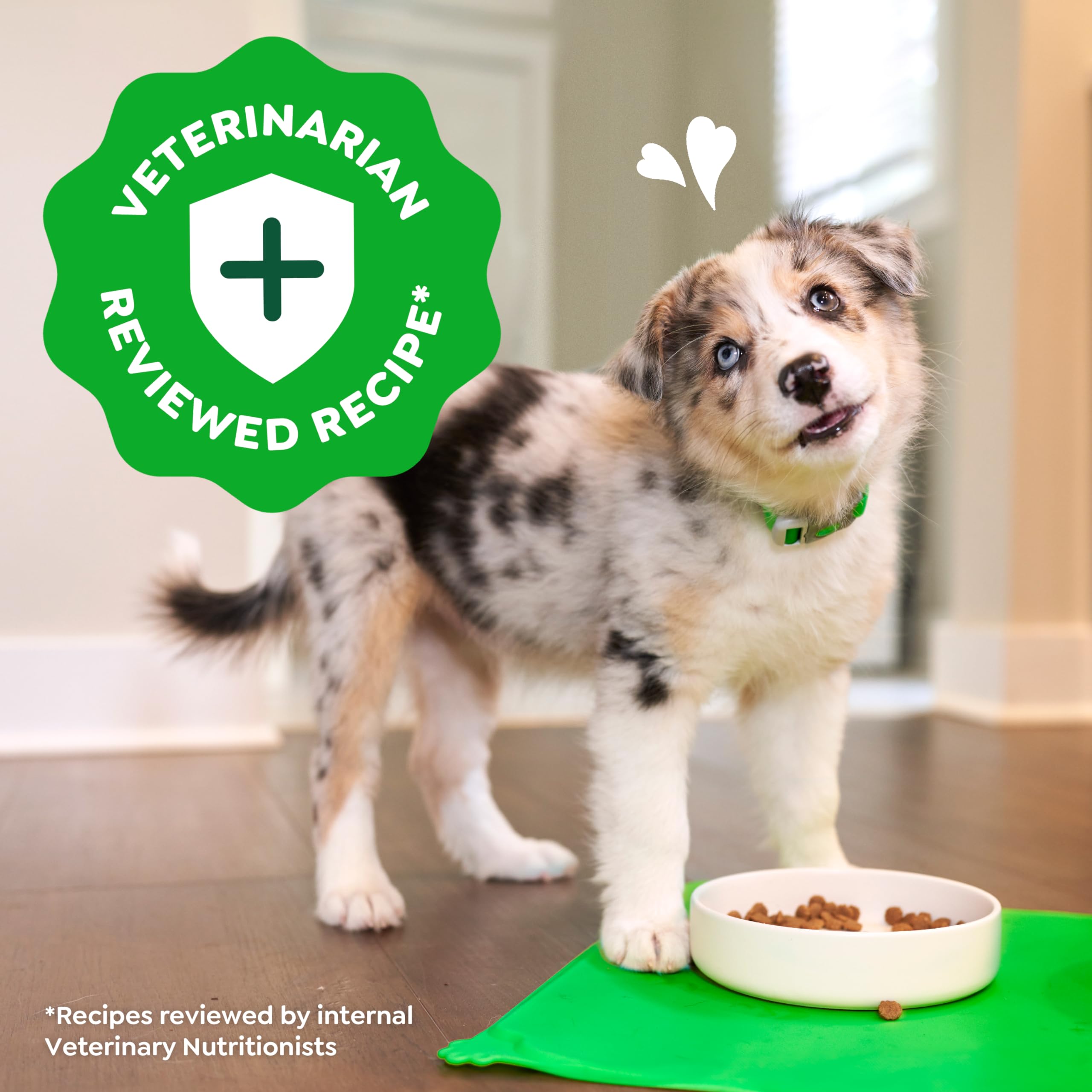 Greenies Smart Essentials Puppy High Protein Dry Dog Food Real Chicken & Brown Rice Recipe, 5.5 lb. Bag - Image 11