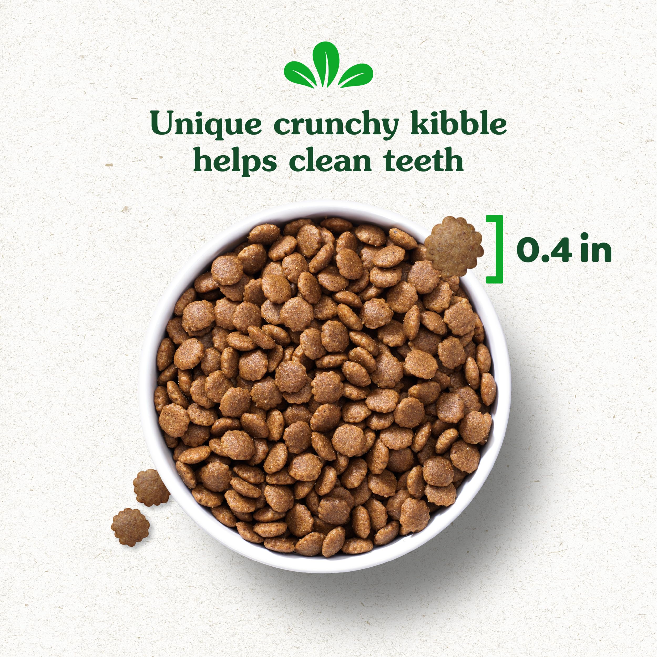 Greenies Smart Essentials Puppy High Protein Dry Dog Food Real Chicken & Brown Rice Recipe, 5.5 lb. Bag - Image 12