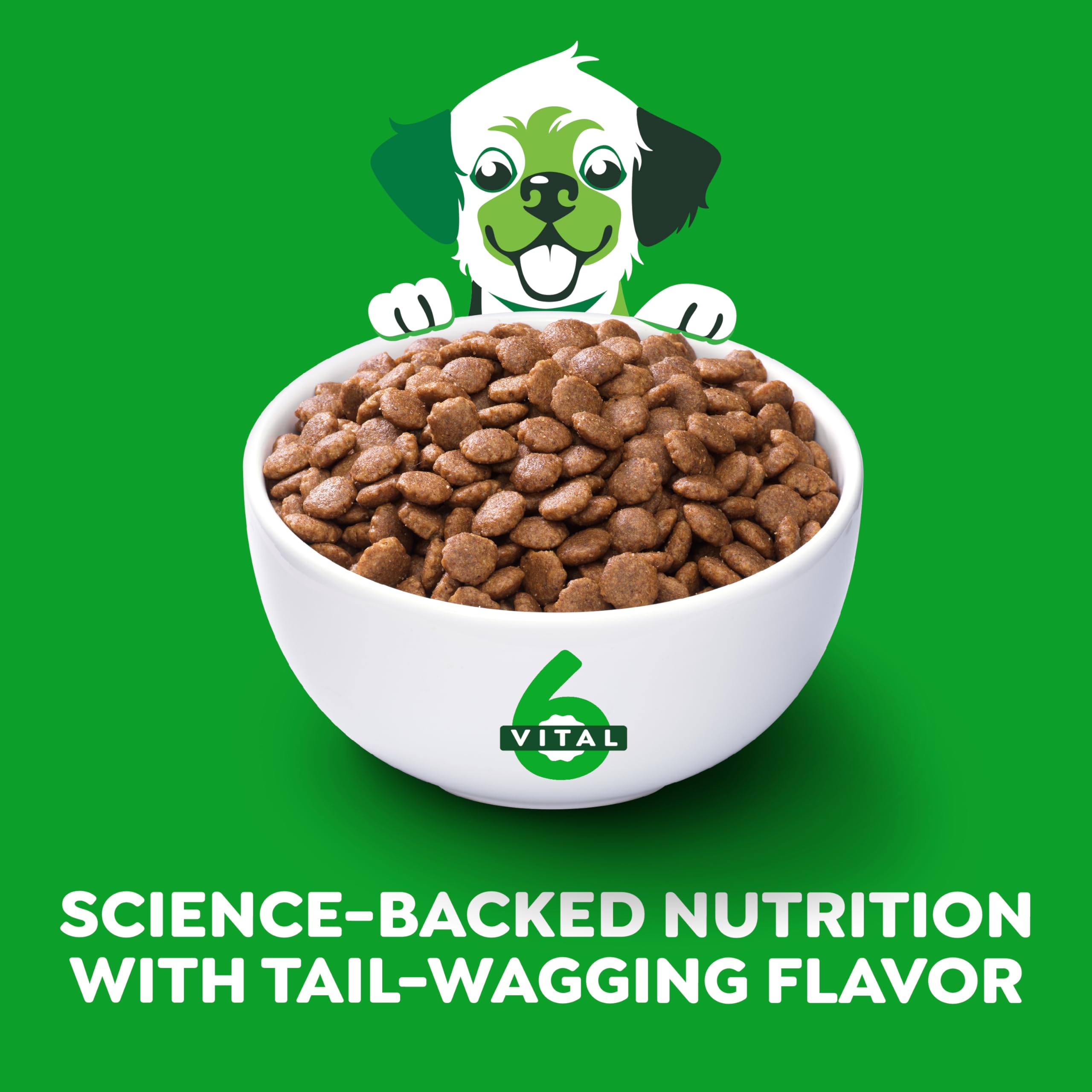 Greenies Smart Essentials Puppy High Protein Dry Dog Food Real Chicken & Brown Rice Recipe, 5.5 lb. Bag - Image 3