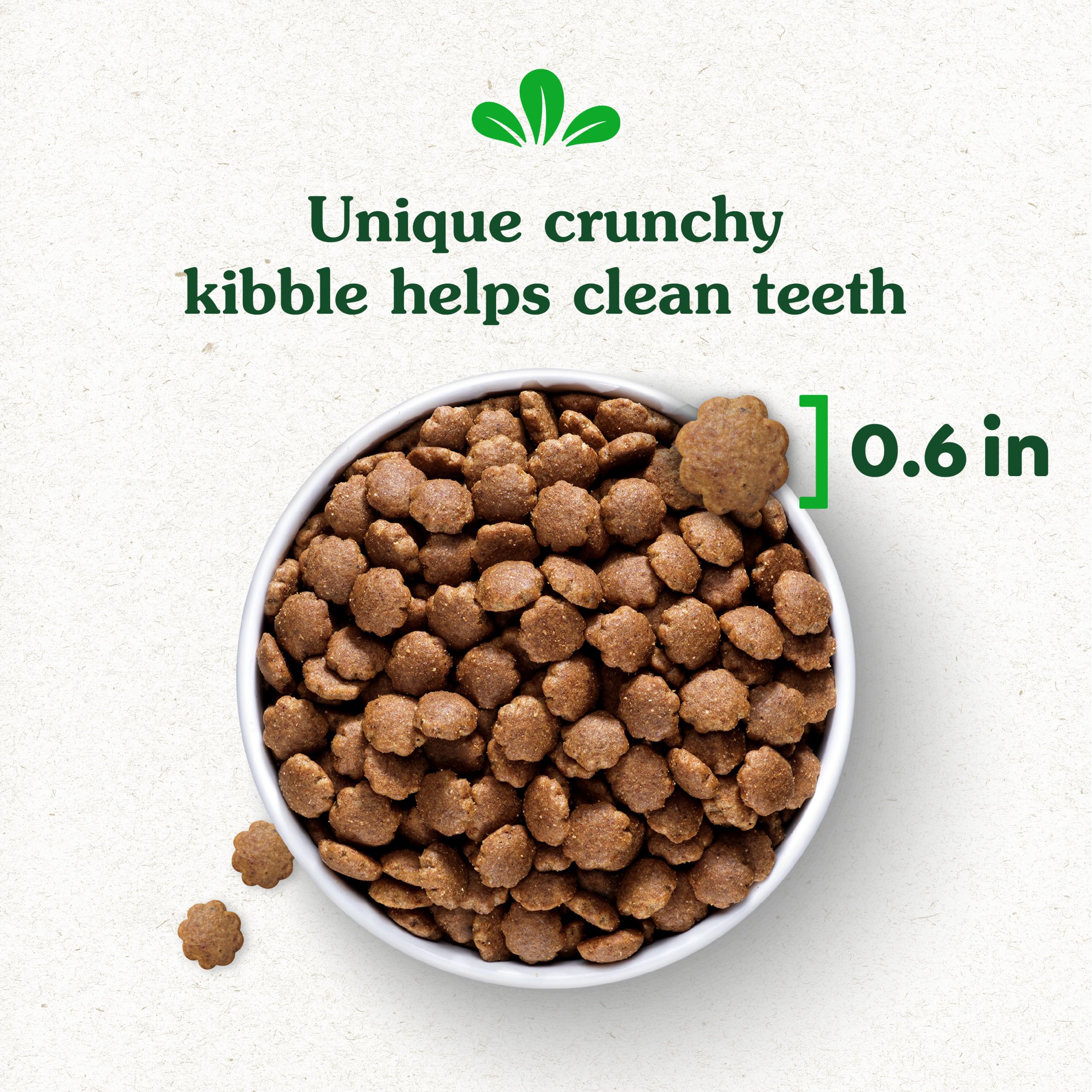 Greenies Smart Essentials Sensitive Digestion & Skin Adult Dry Dog Food Real Lamb & Brown Rice Recipe, 15 lb. Bag - Image 12