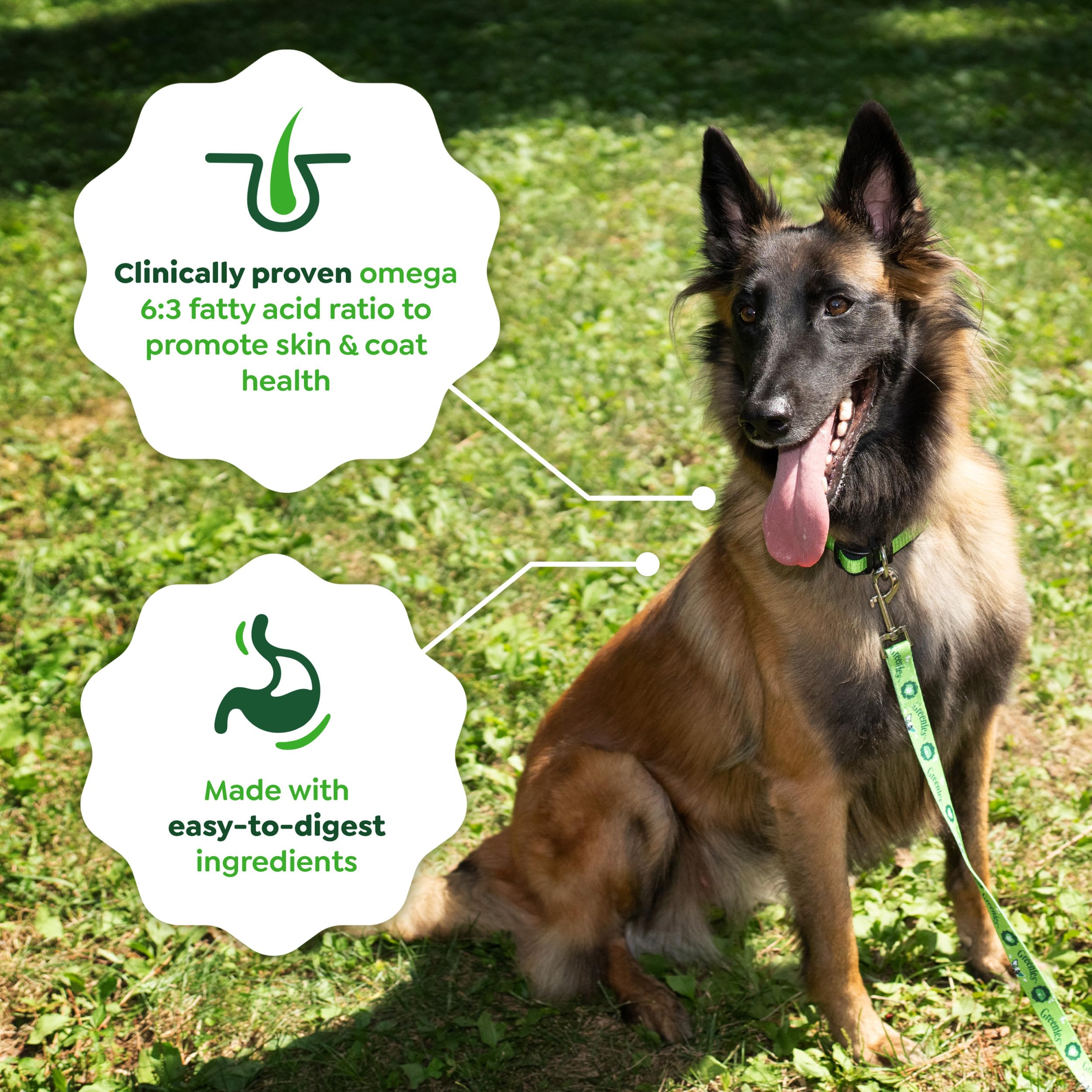 Greenies Smart Essentials Sensitive Digestion & Skin Adult Dry Dog Food Real Lamb & Brown Rice Recipe, 15 lb. Bag - Image 9