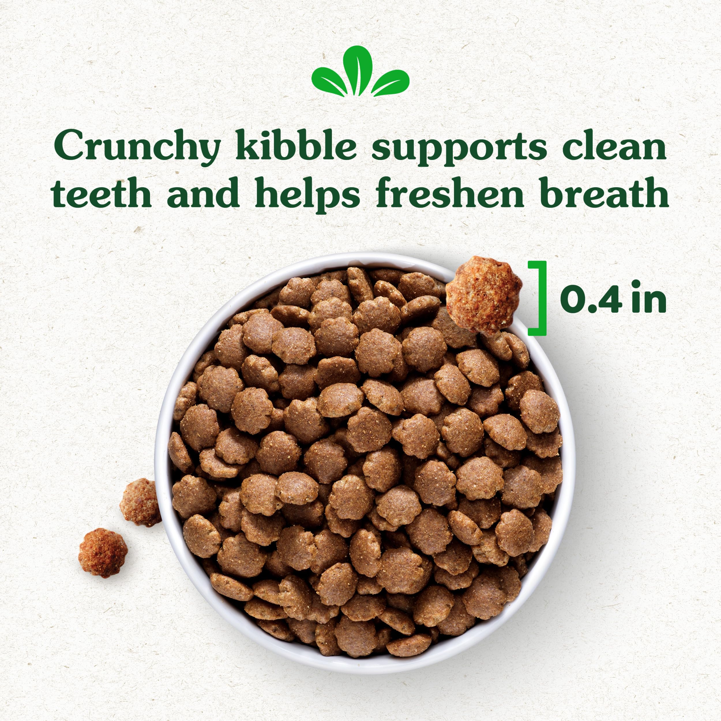 Greenies Smart Essentials Small Breed Adult High Protein Dry Dog Food Real Chicken & Rice Recipe, 5.5 lb. Bag - Image 13