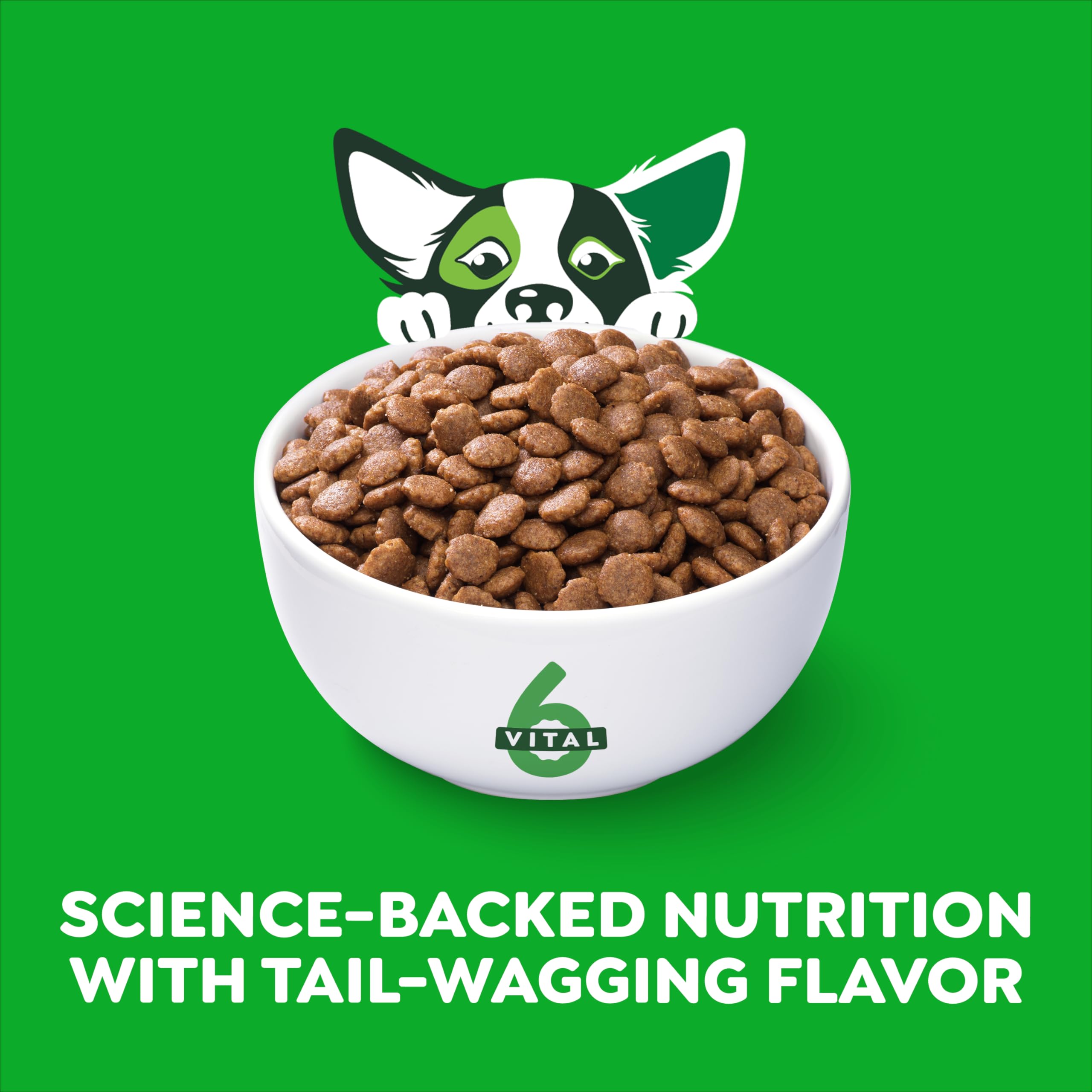 Greenies Smart Essentials Small Breed Adult High Protein Dry Dog Food Real Chicken & Rice Recipe, 5.5 lb. Bag - Image 3