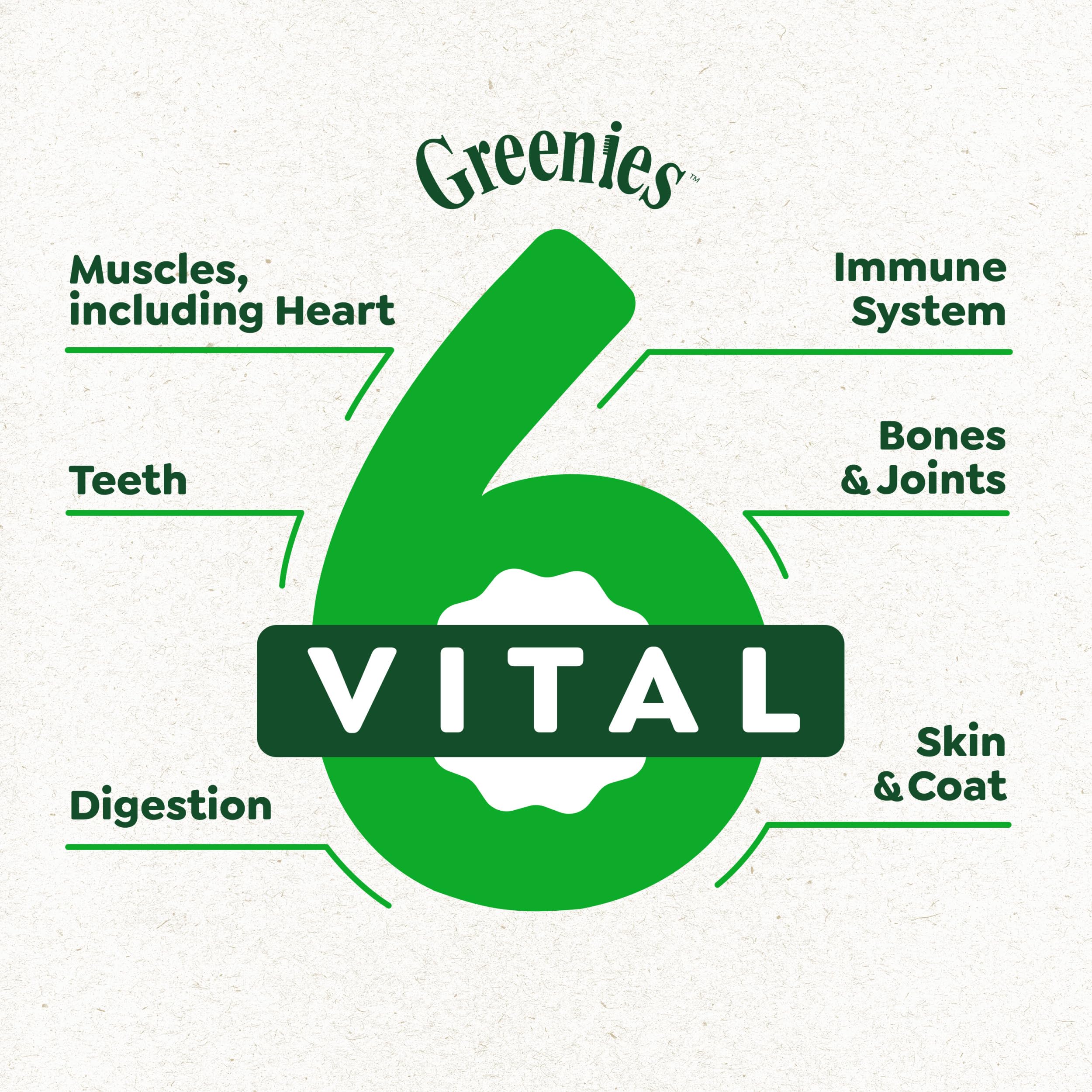 Greenies Smart Essentials Adult High Protein Dry Dog Food Real Chicken & Rice Recipe, 30 lb. Bag - Image 4