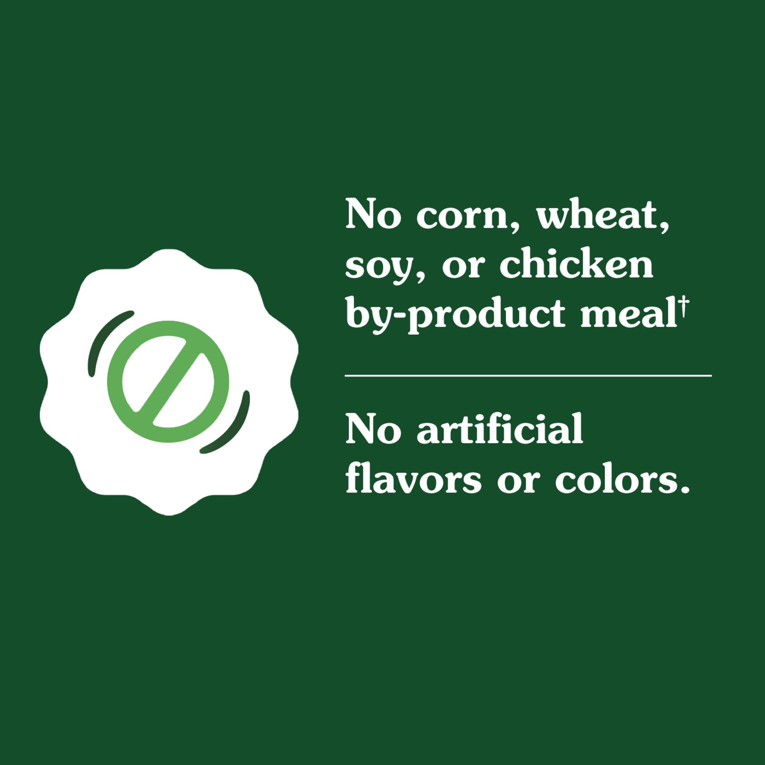 Greenies Smart Essentials Sensitive Digestion & Skin Adult Dry Dog Food Real Lamb & Brown Rice Recipe, 15 lb. Bag - Image 8