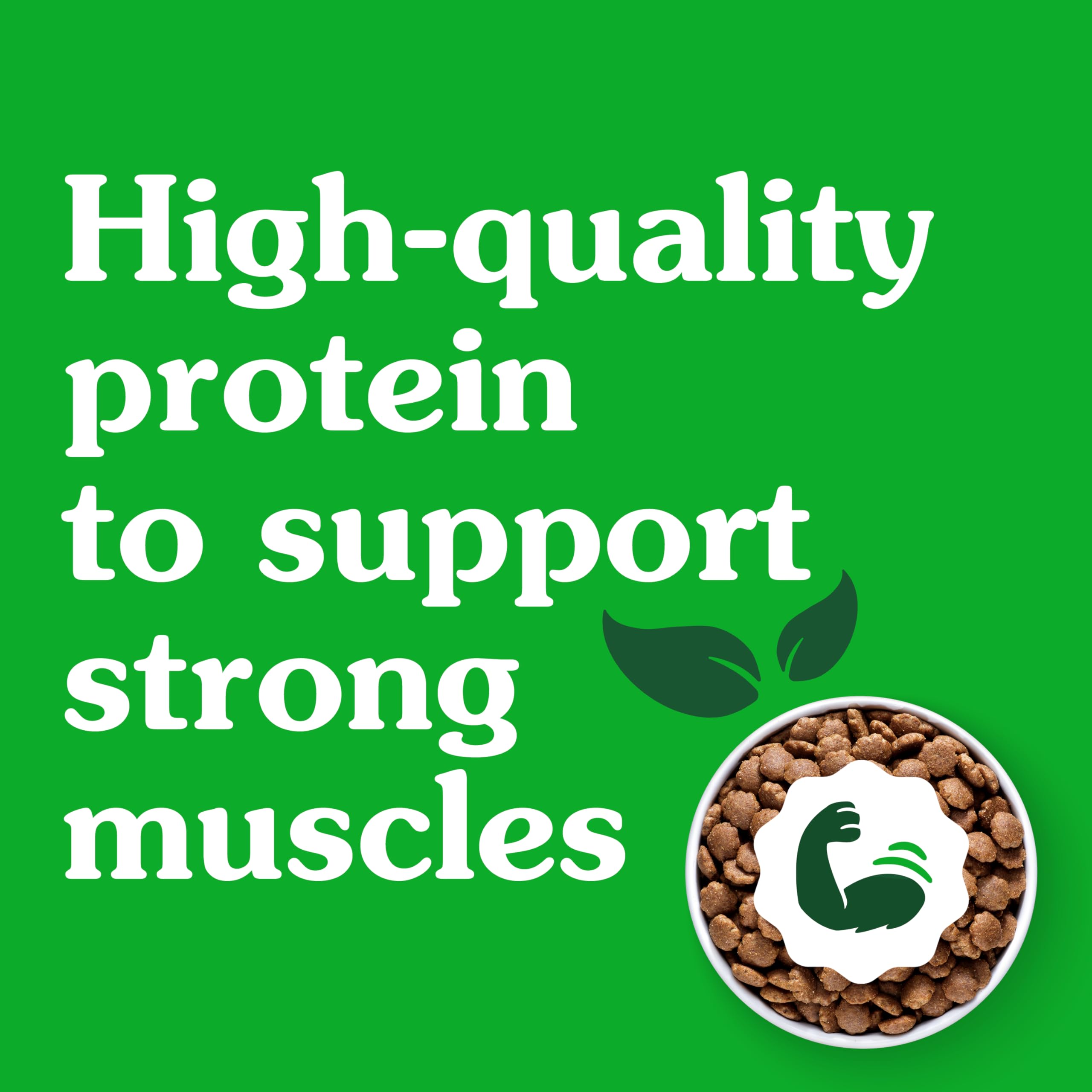 Greenies Smart Essentials Small Breed Adult High Protein Dry Dog Food Real Chicken & Rice Recipe, 5.5 lb. Bag - Image 9