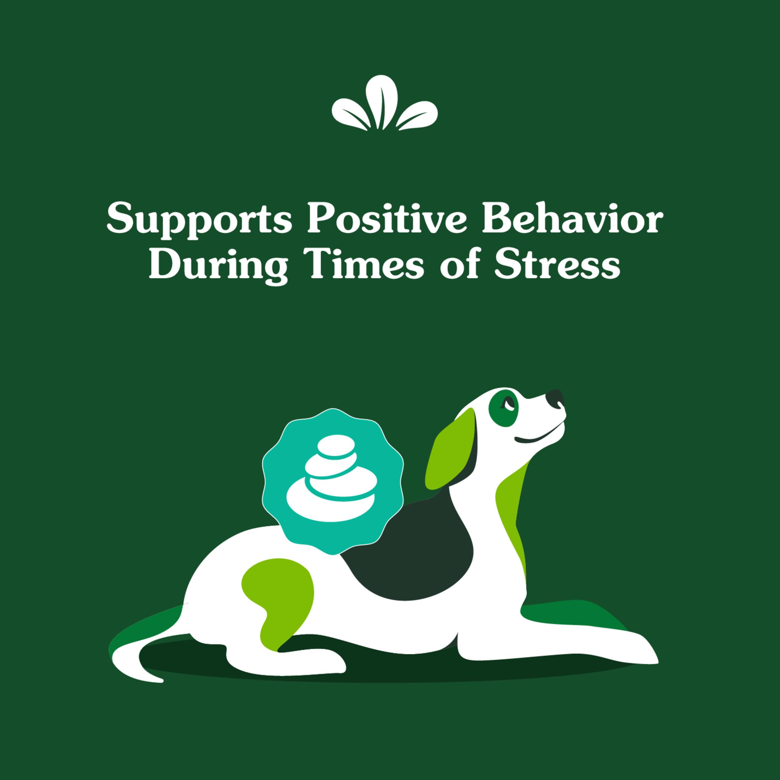 Greenies Supplements Calming Chews for Dogs Chicken Flavor, Dog Calming Chews, 14.7 oz. Container of 80 Count - Image 4