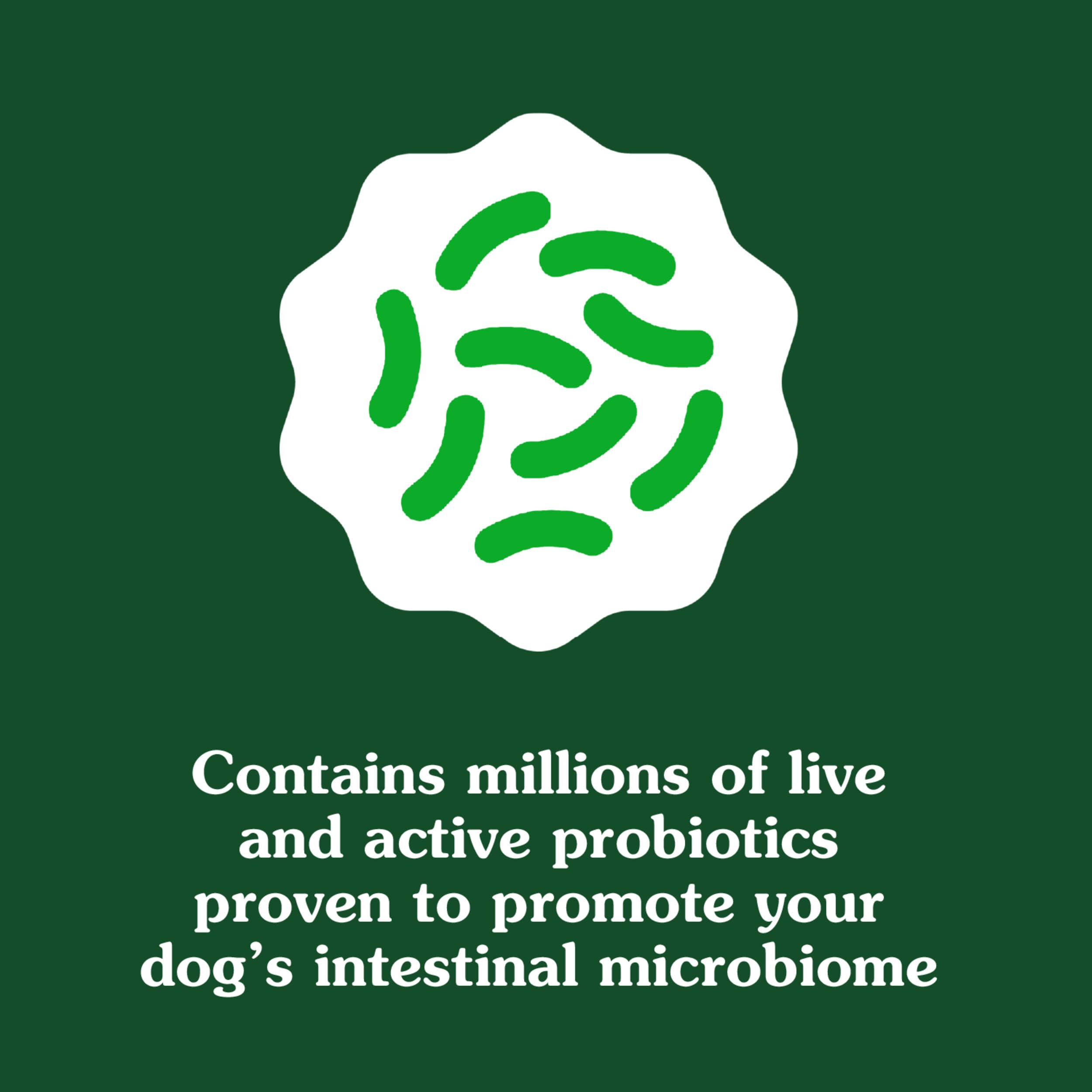 Greenies Supplements Digestive Health Probiotics for Dogs, Dog Probiotic Supplements, Chicken Flavor, 7.8 oz. Pouch of 40 Count - Image 3