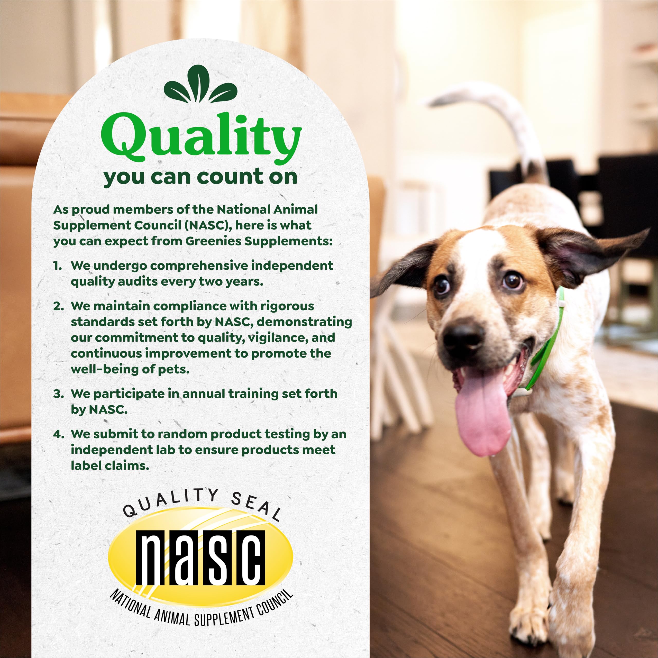 Greenies Supplements Dog Skin and Coat Supplements with Omega 3 Fatty Acids & Fish Oil for Dogs, Chicken Flavor, 14.7 oz, 80 Count - Image 4