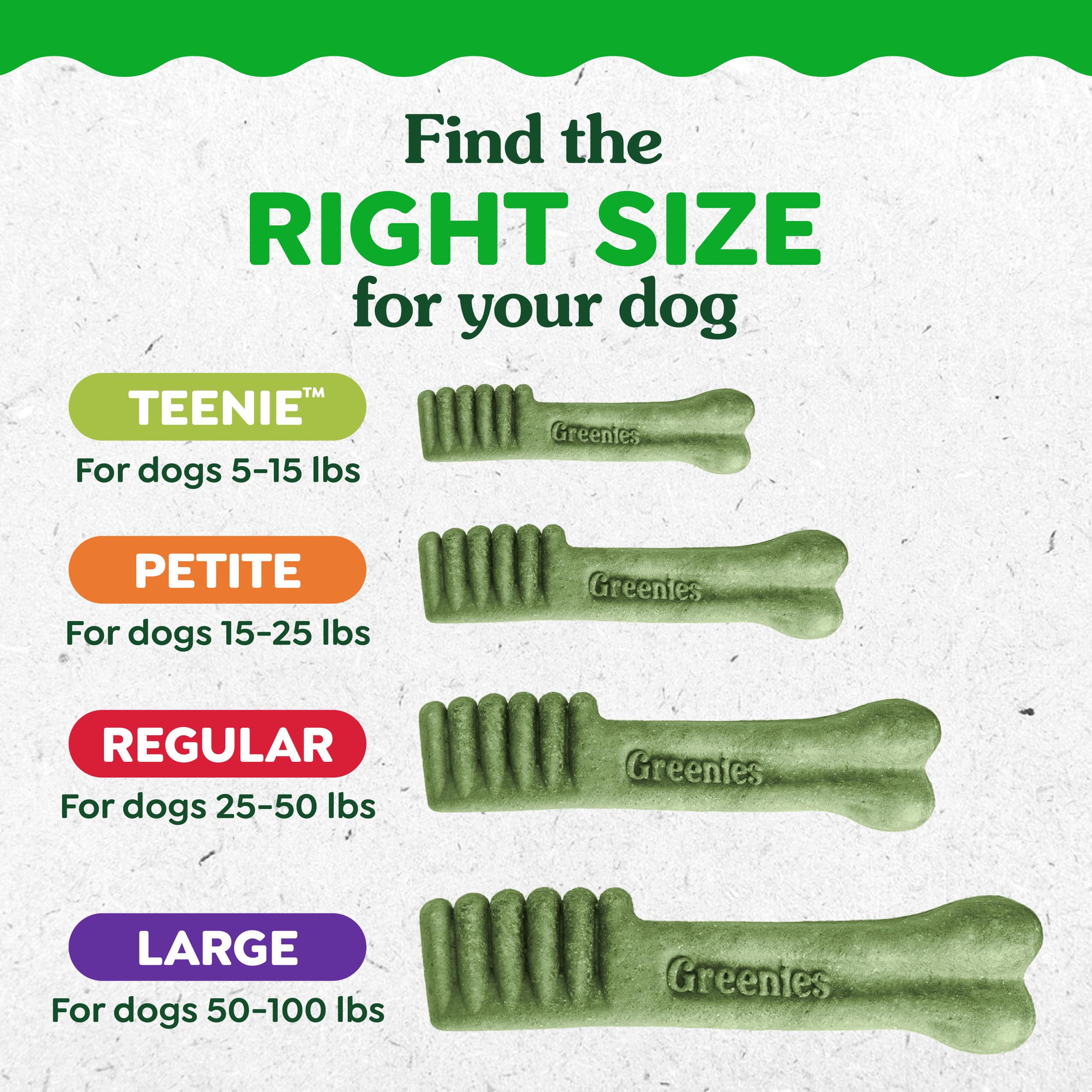 Greenies Veterinarian-Recommended Natural Dental Dog Treats, Large Size, Original Flavor, 36 oz. Pack, 24 Count - Image 12