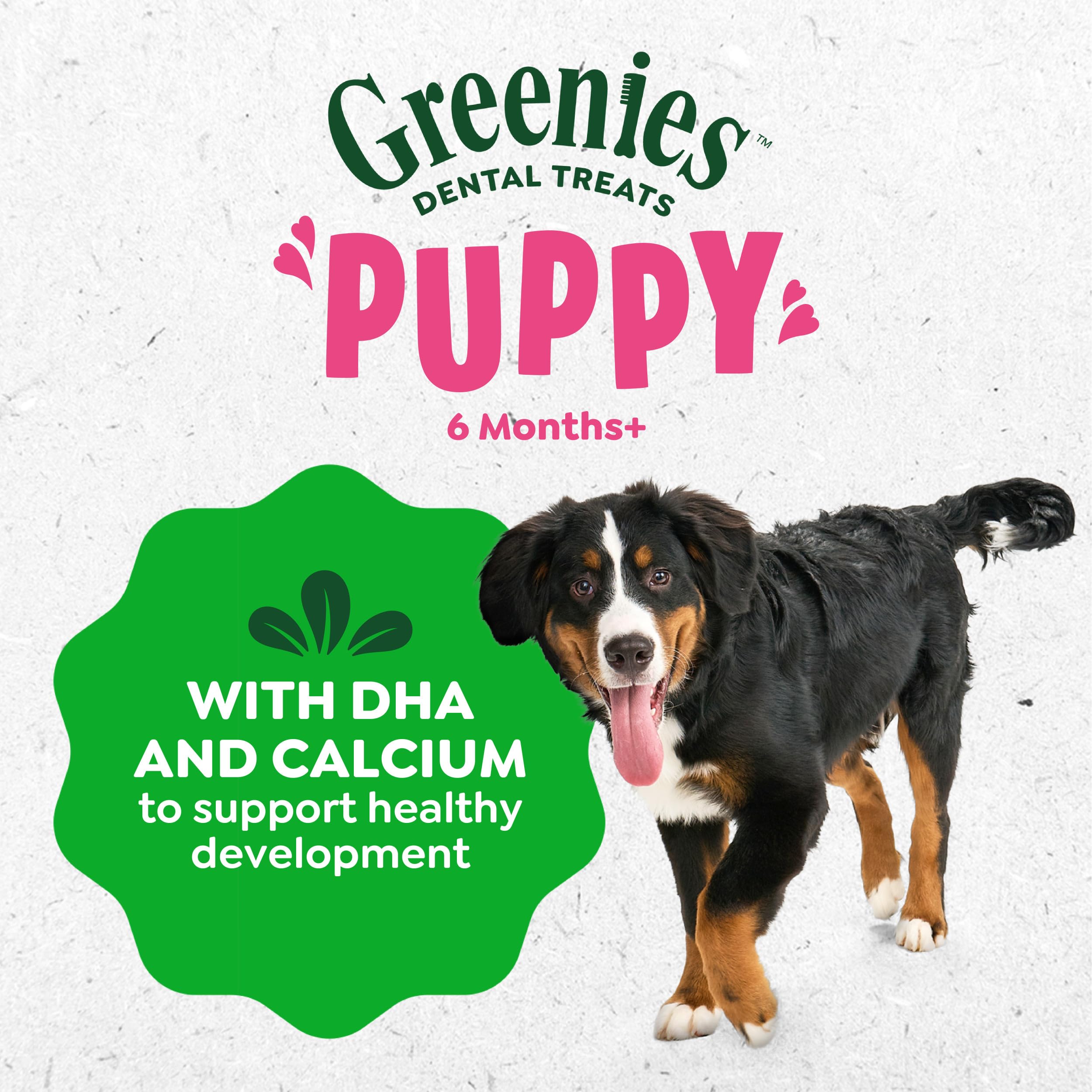 Greenies Dental Treats for Dogs, Veterinarian-Recommended Natural Puppy Treats Regular Size, 6 oz. Pack, 12 Count - Image 9